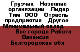 Грузчик › Название организации ­ Лидер Тим, ООО › Отрасль предприятия ­ Другое › Минимальный оклад ­ 11 000 - Все города Работа » Вакансии   . Белгородская обл.